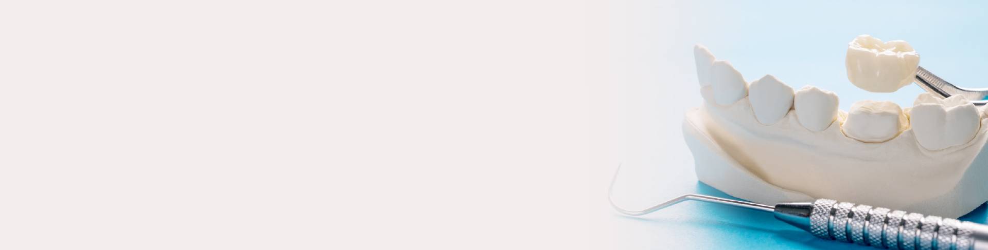 banner banner